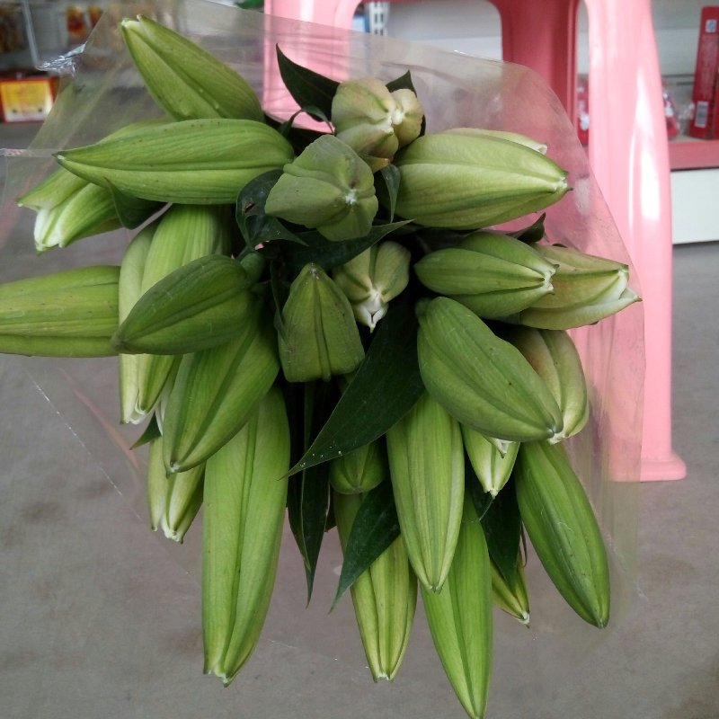 鲜花一件代发